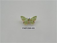 藏品(尺蛾383)的圖片